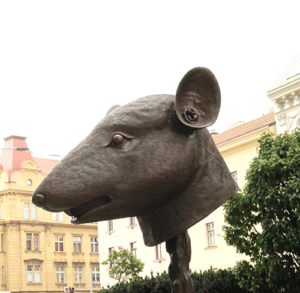 Rooster year predictions Rat sign
