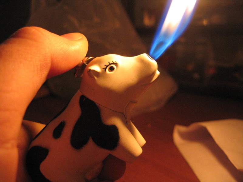 Month of the Fire Ox