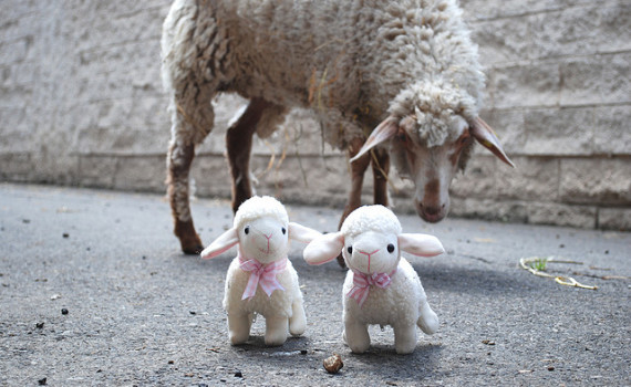 Bazi Four Pillars July 2015