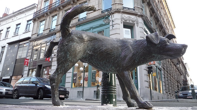 Horoscope Dog 2018