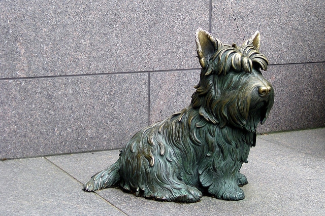 Chinese year of the Dog