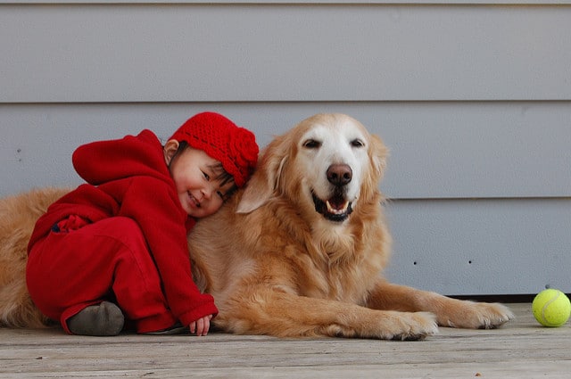 Dog sign baby personality