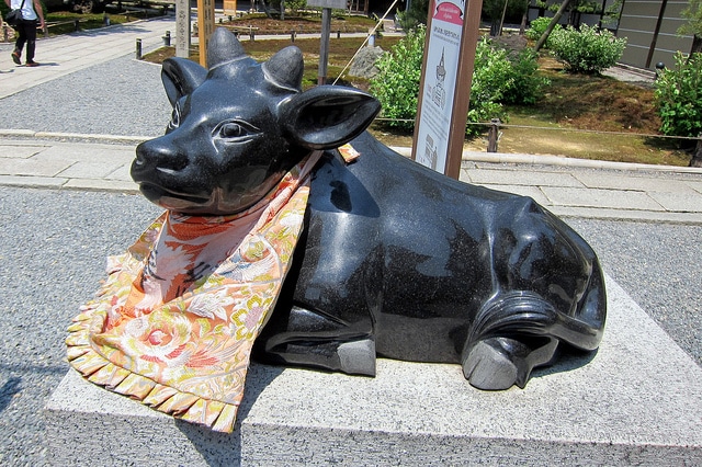 Pig year horoscope Ox