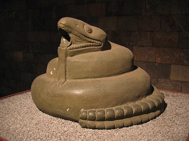 2019 Snake horoscope year of the Pig
