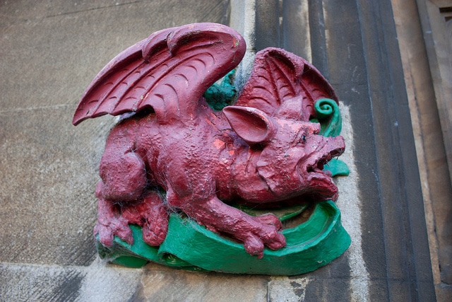 Pig year Dragon horoscope