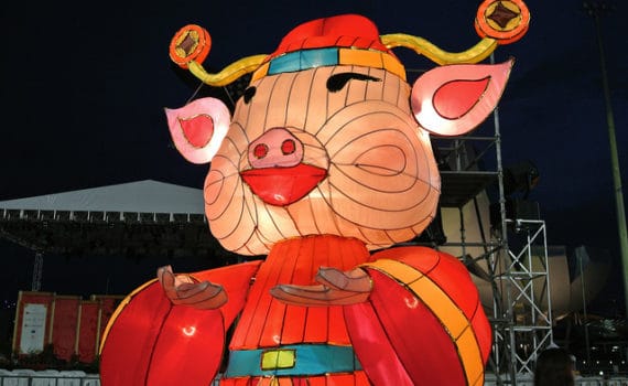 Pig year Chinese New Year 2019