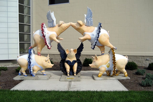 Chinese horoscope year of the Pig, Pig sign