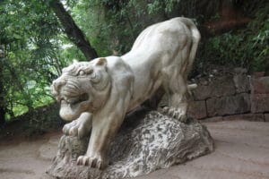 Tiger horoscope year of the Rat