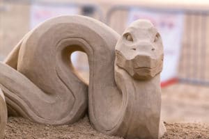 Snake horoscope year of the Rat