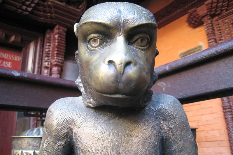 Monkey horoscope 2020