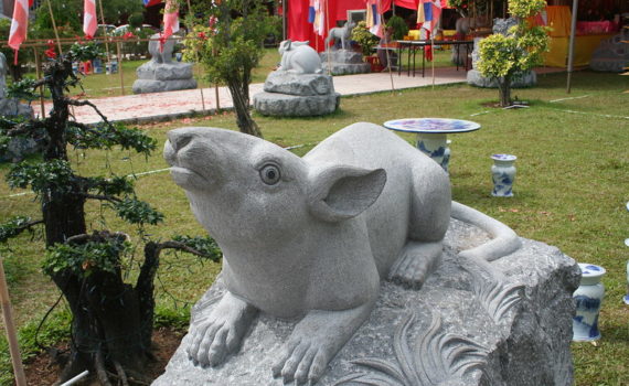 2020 Metal Rat year