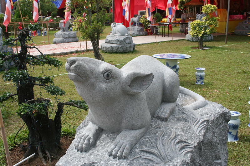 2020 Metal Rat year